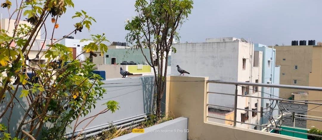 Ganesh Deluxe Boys Hostel — photo 3