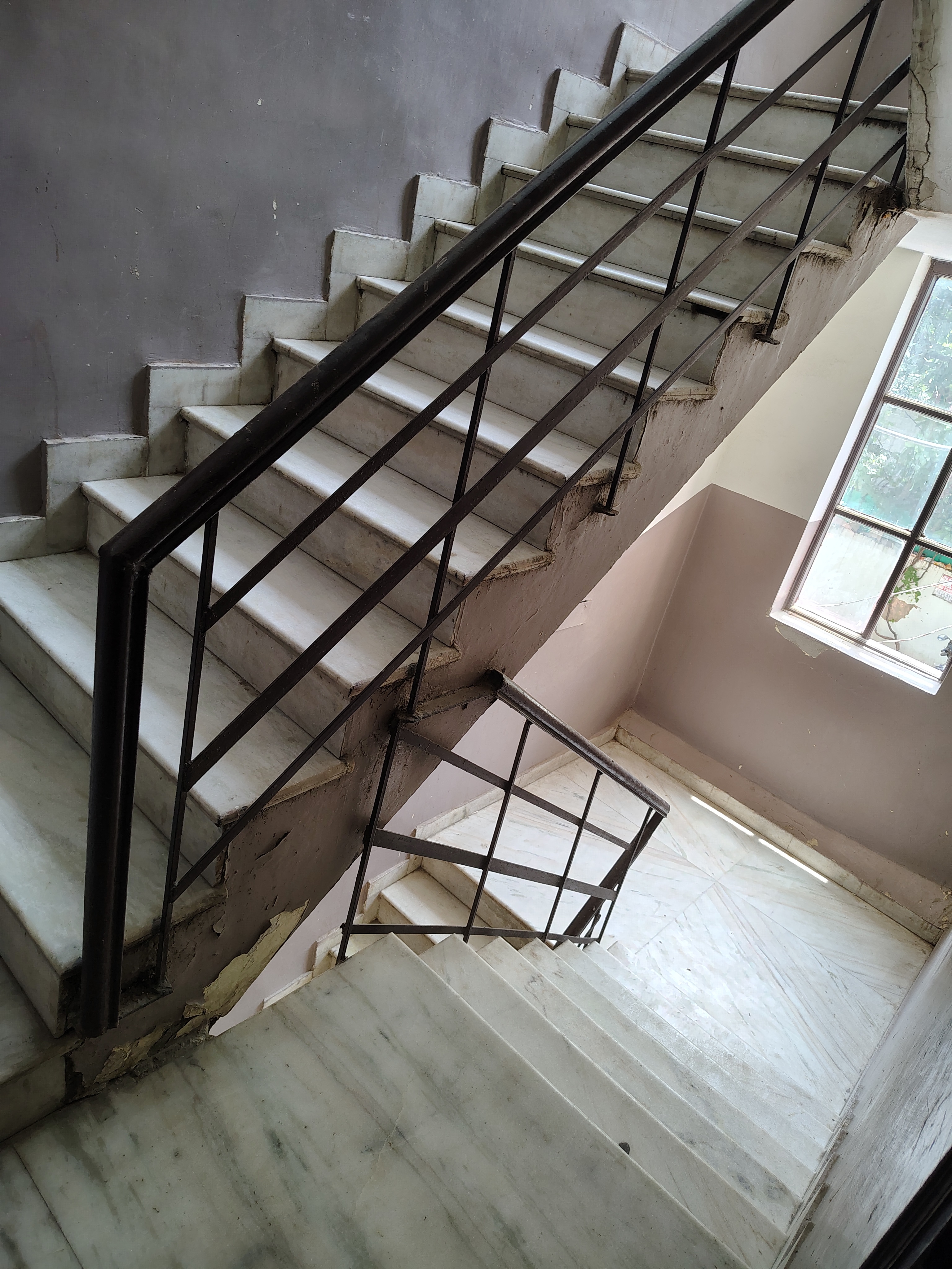 Floora Home's pg — photo 3