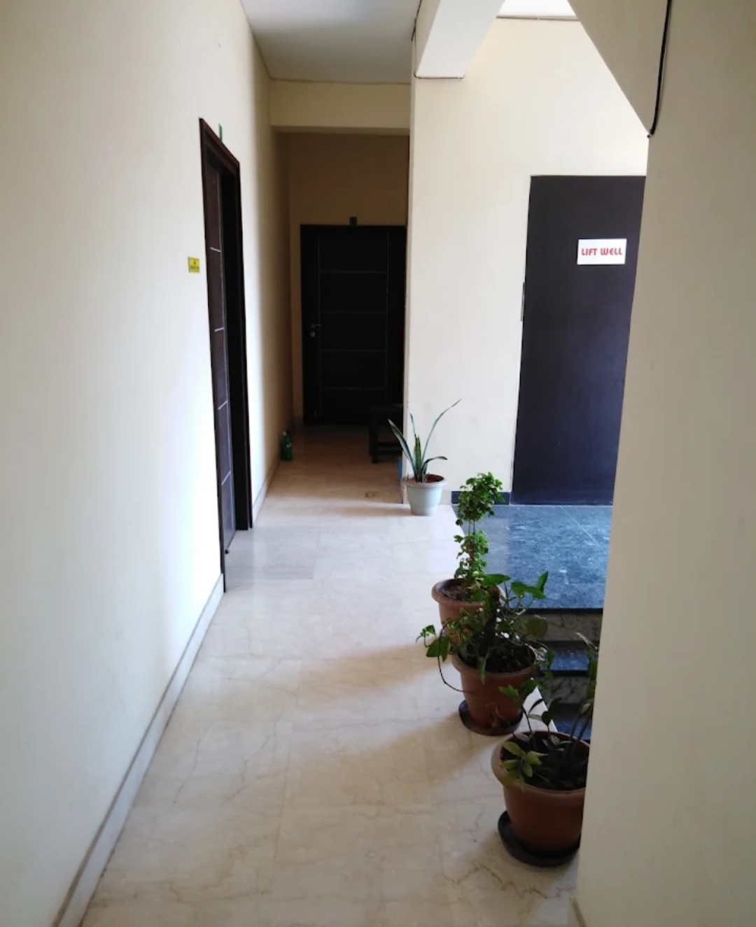 PG wala — photo 5