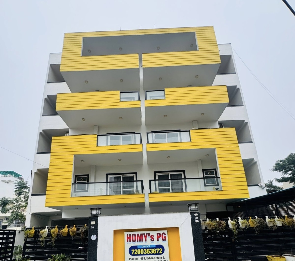 Homy's Pg — photo 2