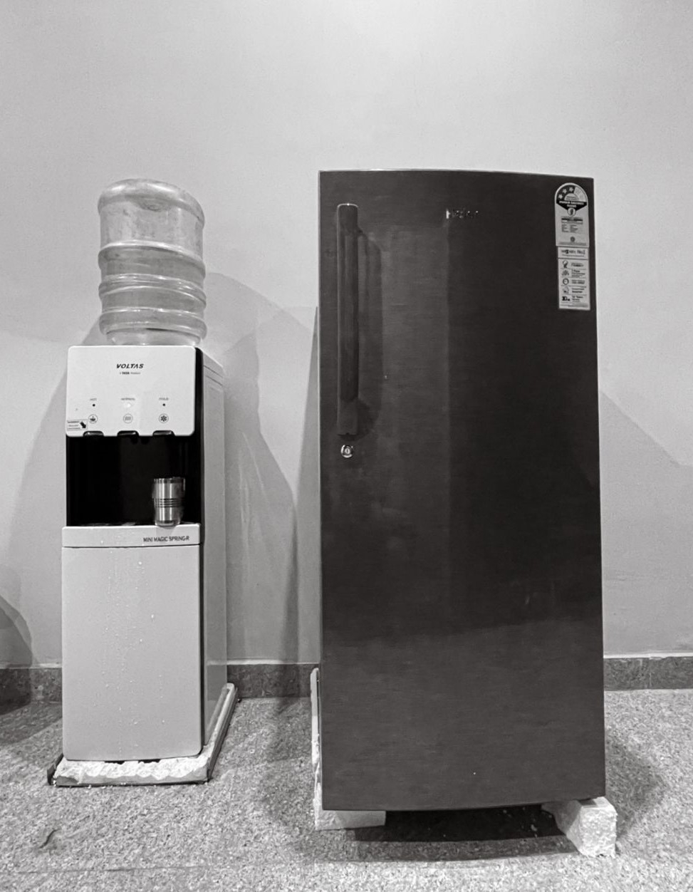 Found PG — photo 1