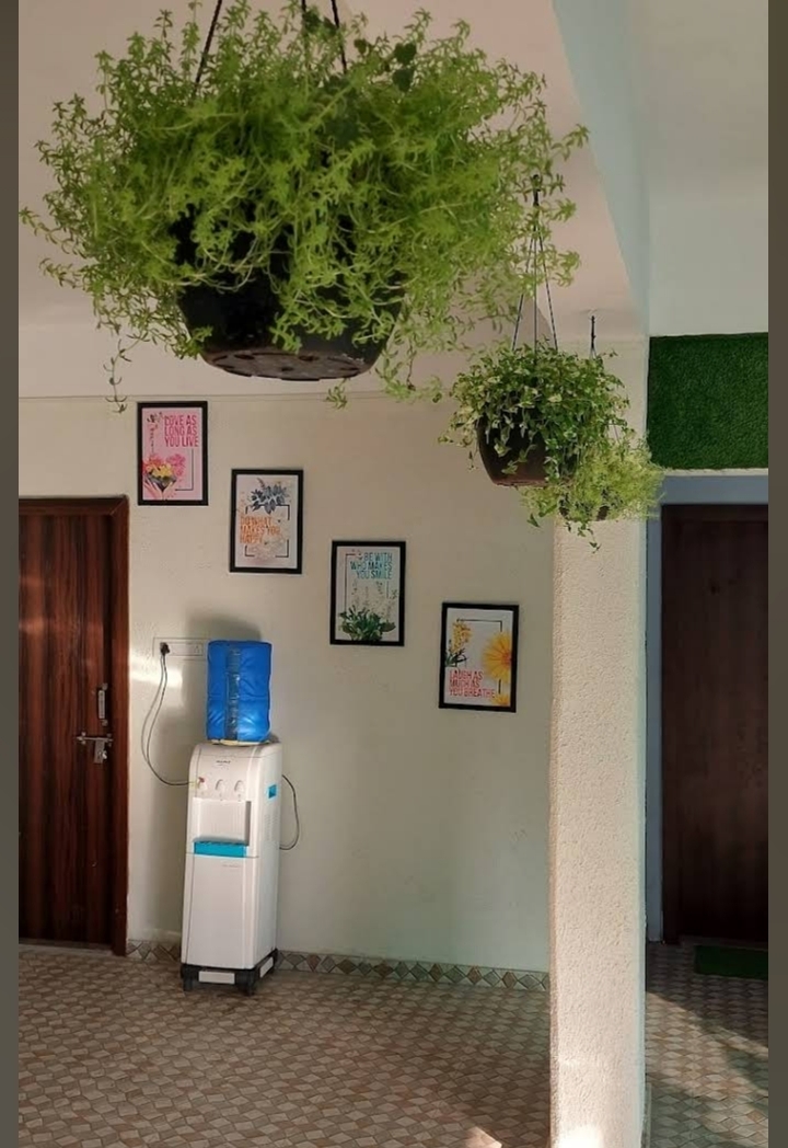 Casa Stays Blossoms pg — photo 5