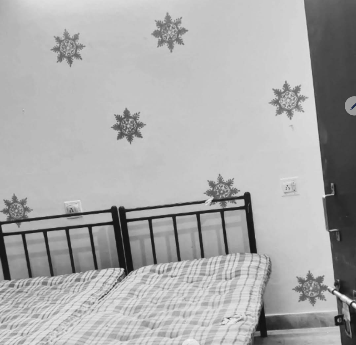 S G  PG — photo 5