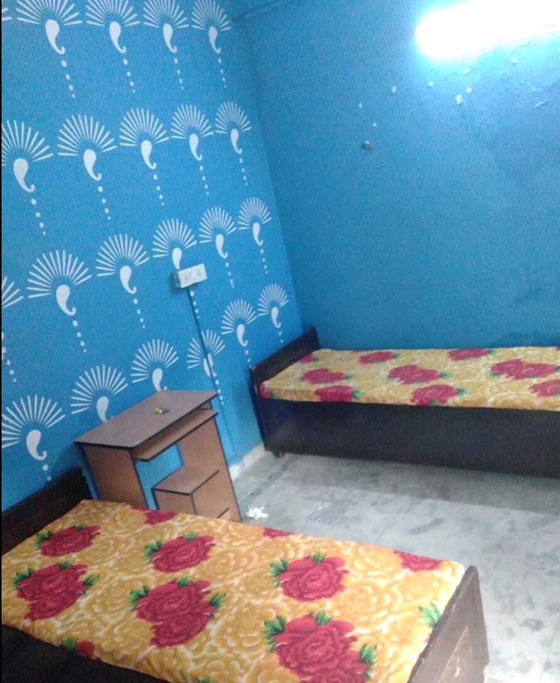 Daksh luxurious Pg — photo 1
