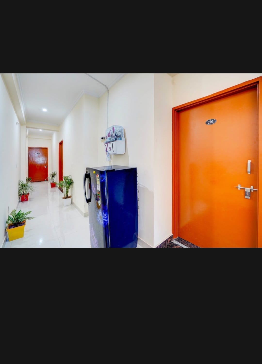 Living hub girls PG — photo 5